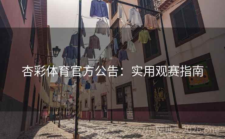 杏彩体育官方公告：实用观赛指南