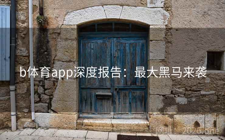 b体育app深度报告：最大黑马来袭