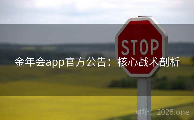 金年会app官方公告：核心战术剖析